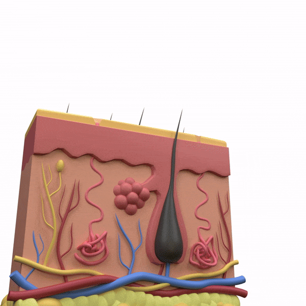 Alt Image