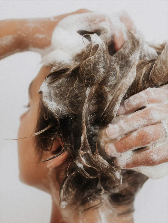 Cleanse Anti-Shedding Shampoo